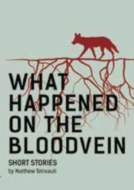 What Happened on the Bloodvein: Short Stories