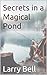 Secrets in a Magical Pond
