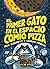 El primer gato en el espacio que comio pizza