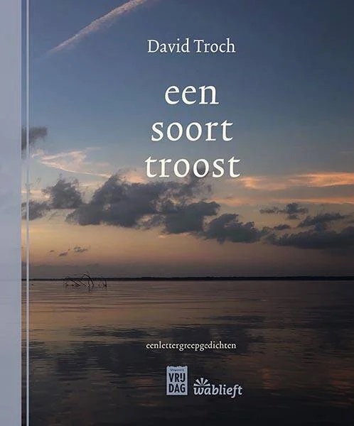 een soort troost (Paperback)