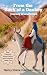 From the Back of a Donkey Journey of a Lifetime by Nancy Elaine Hartman Minor From the Back of a Donkey Journey of a Lifetime by Nancy Elaine Hartman Minor
