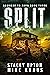 Split (Nowhere to Turn, #3)