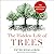 The Hidden Life of Trees: What They Feel, How They Communicate – Discoveries from a Secret World