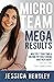 Micro Team, Mega Results: M...