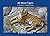 All About Tigers: A Childre...