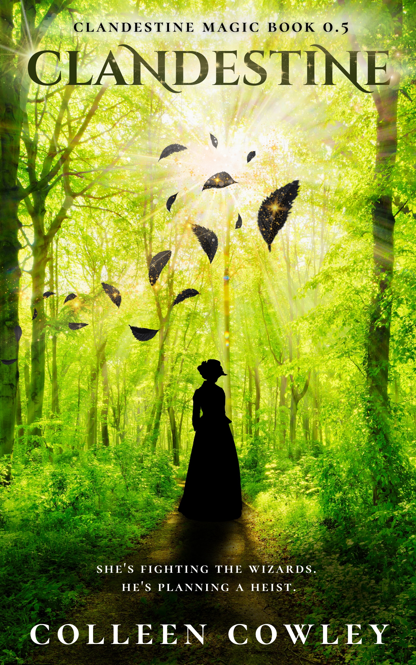 Clandestine (Clandestine Magic, #0.5)