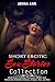 Short Erotic Sex Stories Collection by Jenna Ann