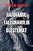 Gardianul talismanului blestemat