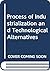Process of Industrializatio...