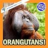 Orangutans!: A My...