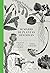 Sumário de plantas oficiosas: um ensaio sobre a memória da flora