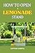 HOW TO OPEN A LEMONADE STAND by Captain Careful