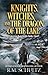 Knights, Witches, and the Dragon of the Lake by R.M. Schultz