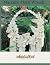 Macrame Floral Wreath: Comp...