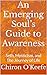 An Emerging Soul’s Guide to Awareness by Chiron O'Keefe