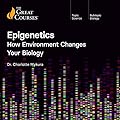 Epigenetics: How Environment Changes Your Biology