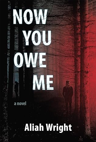 Now You Owe Me (Paperback)
