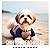 Shih Tzu Beachwear Photobook: 40+ Amazing Photos Of Shih Tzu Beachwear, 17" x 8.5" Opened, Coffee Table Book, Home Decoration, Perfect Christmas and ... For Friends and Family Men Women Mom Dad