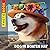 Dog In Boater Hat Photobook by Megan Howe