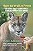 How to Walk a Puma: And Other Things I Learned While Stumbling Through South America
