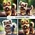 GSD Adorable Minis Photoboo...
