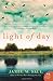 Light of Day: A Novel