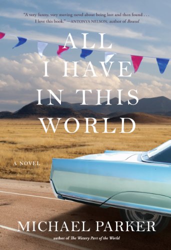 All I Have in This World: A Novel (Paperback)