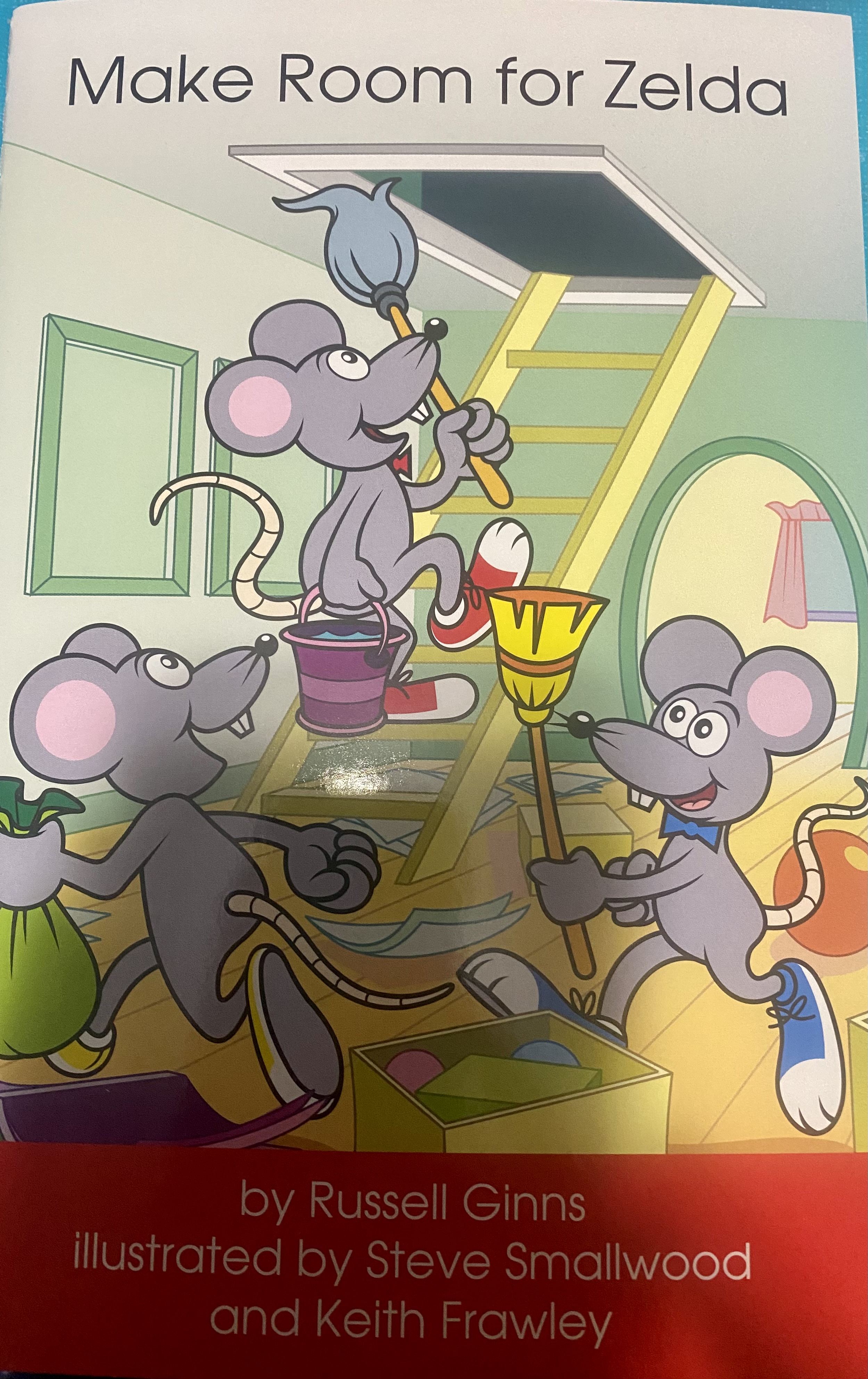 Make Room For Zelda (Paperback)