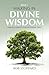 WALKING IN DIVINE WISDOM: T...