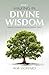 Walking In Divine Wisdom: T...
