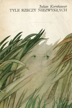 Tyle rzeczy niezwykłych (Paperback)