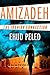 Amizadeh by Ehud Peled