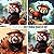 Red Panda Boater Hat Photobook by Ruth Levine