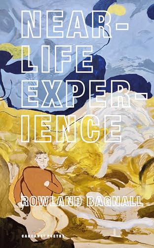 Near-Life Experience (Paperback)