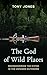 The God of Wild Places: Rediscovering the Divine in the Untamed Outdoors