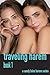 Traveling Harem Book 1: A S...
