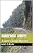 Dangerous Curves: A James T...
