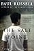 The Salt Point: A Novel (Stonewall Inn Editions)