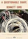 A Questionable Shape by Bennett Sims
