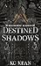 Destined Shadows (Silvercrest Academy, #2)
