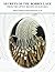 SECRETS OF THE BOBBIN LACE ...