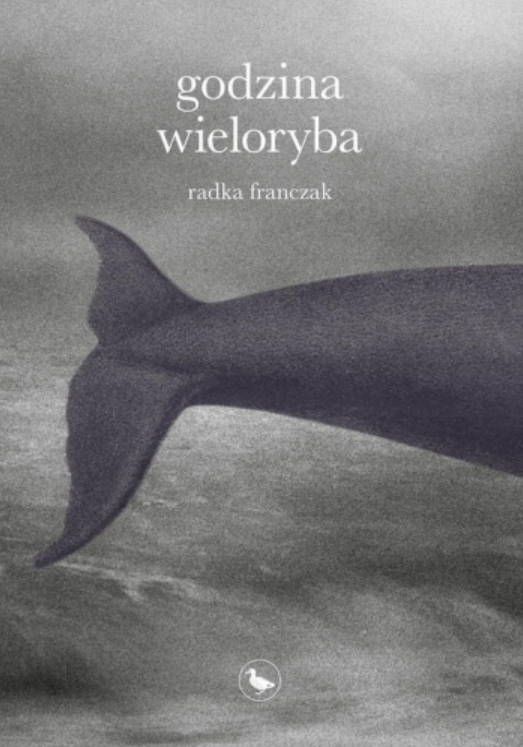 Godzina wieloryba (Paperback)