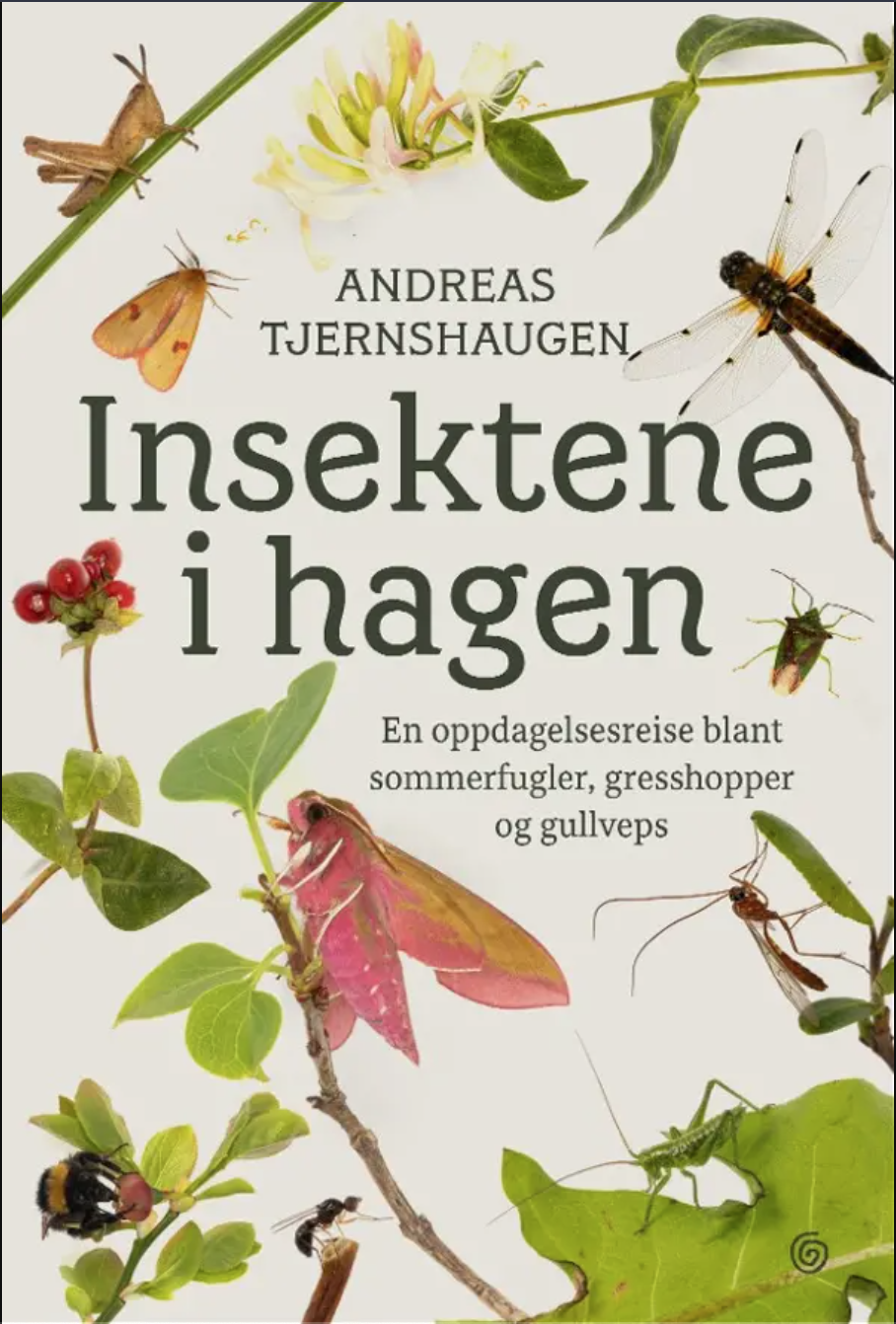 Insektene i hagen (Hardcover)