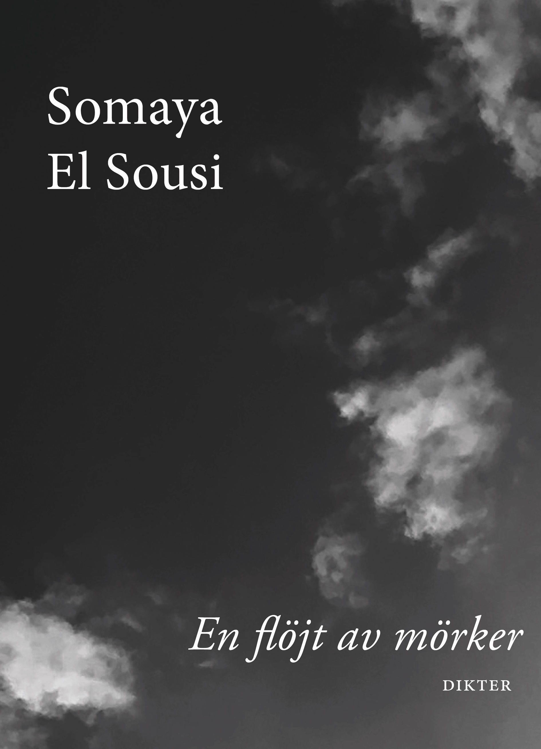 En flöjt av mörker (Paperback)