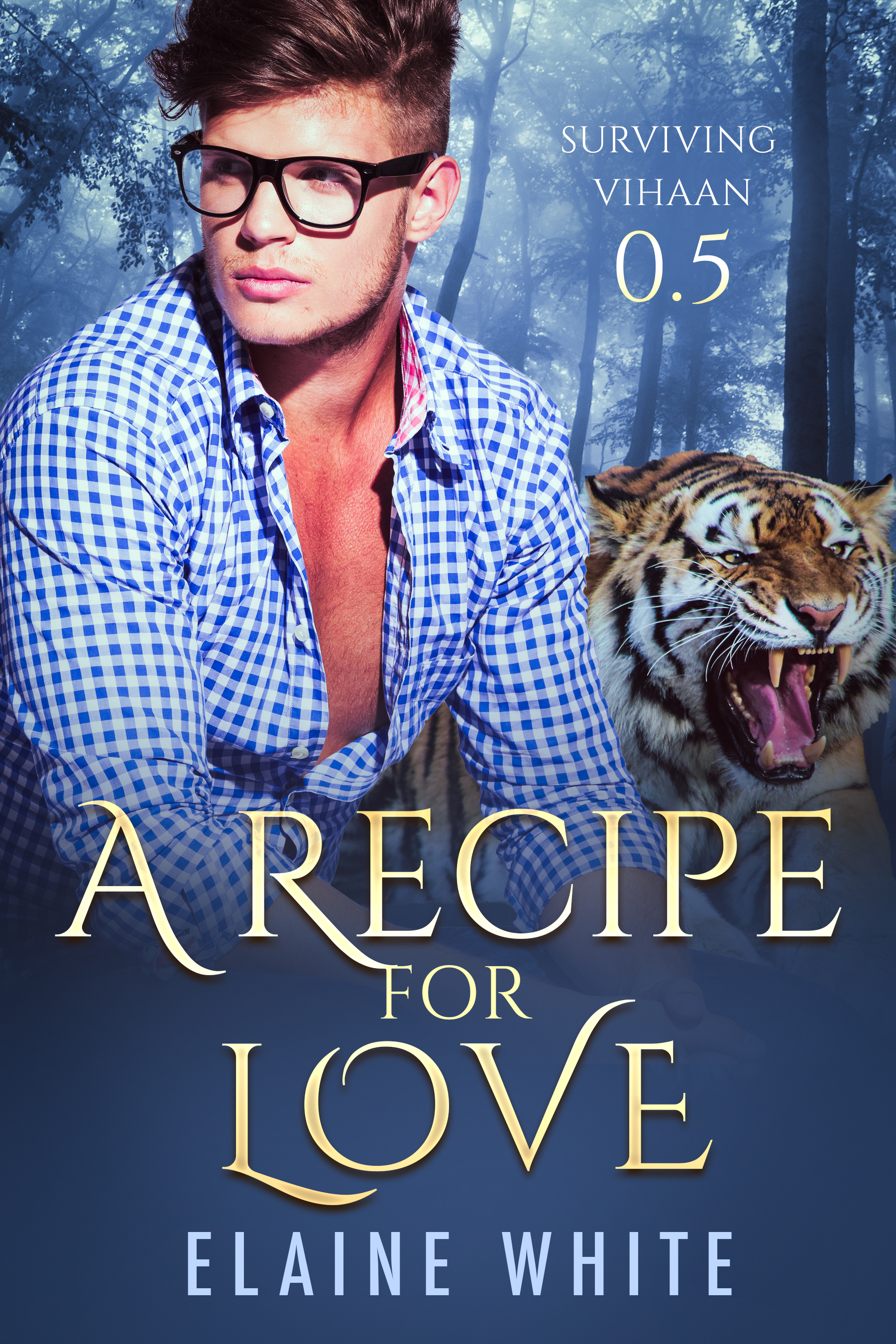 A Recipe for Love (Surviving Vihaan #0.5)
