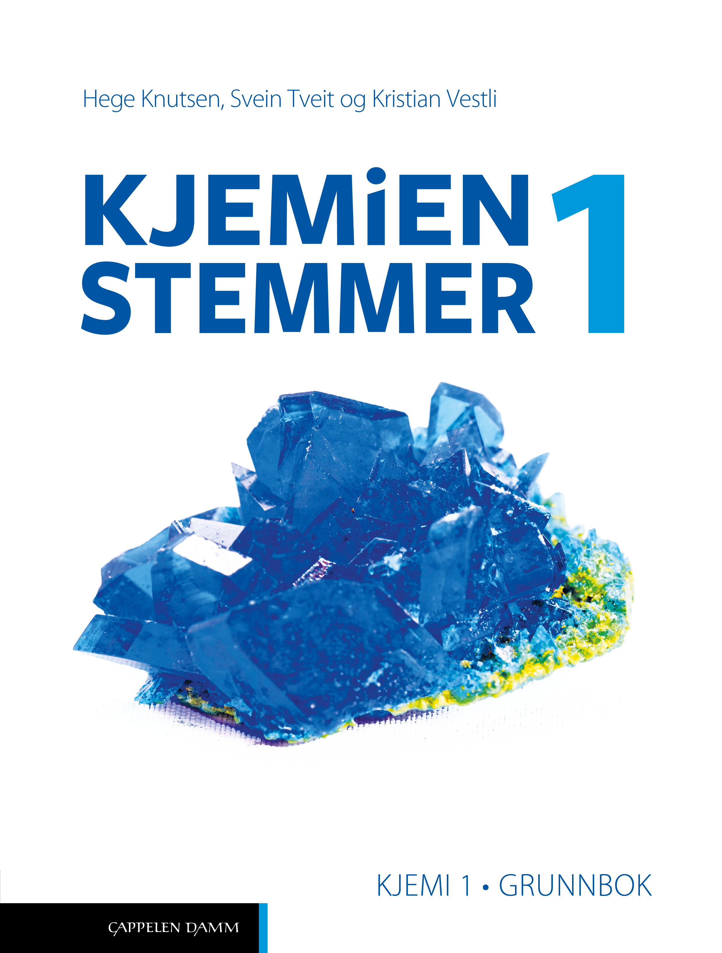 Kjemien Stemmer 1 Grunnbok (LK20)