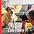 Lab Fairy Photobook by Reid Bryant