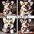 Corgi News Writer's Photobo...