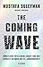 The Coming Wave: Künstliche Intelligenz, Macht und das größte Dilemma des 21. Jahrhunderts (German Edition)