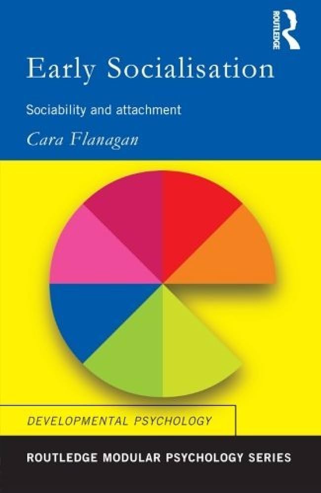 Early Socialisation: Sociability and Attachment